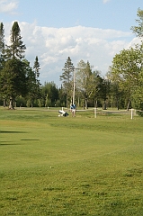 Castor_0152