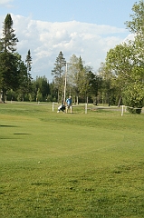 Castor_0153
