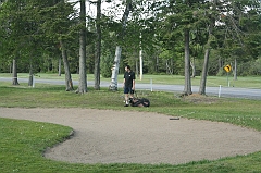 Castor_0205