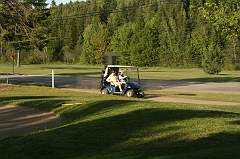 Castor_0253