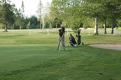 Castor_0283