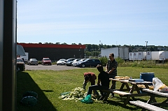 Gentec_0006