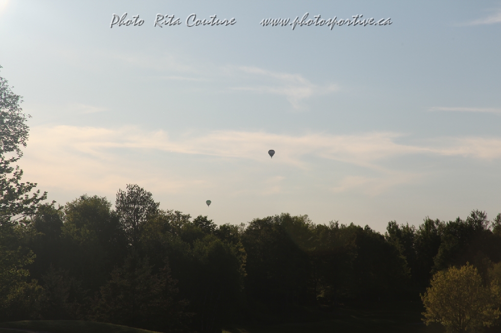 C5D_098883.JPG