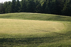 C5D_098903