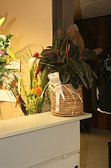 50Ans_0011