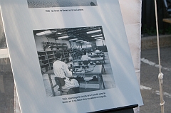 50Ans_0169