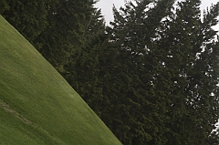 RC_000565
