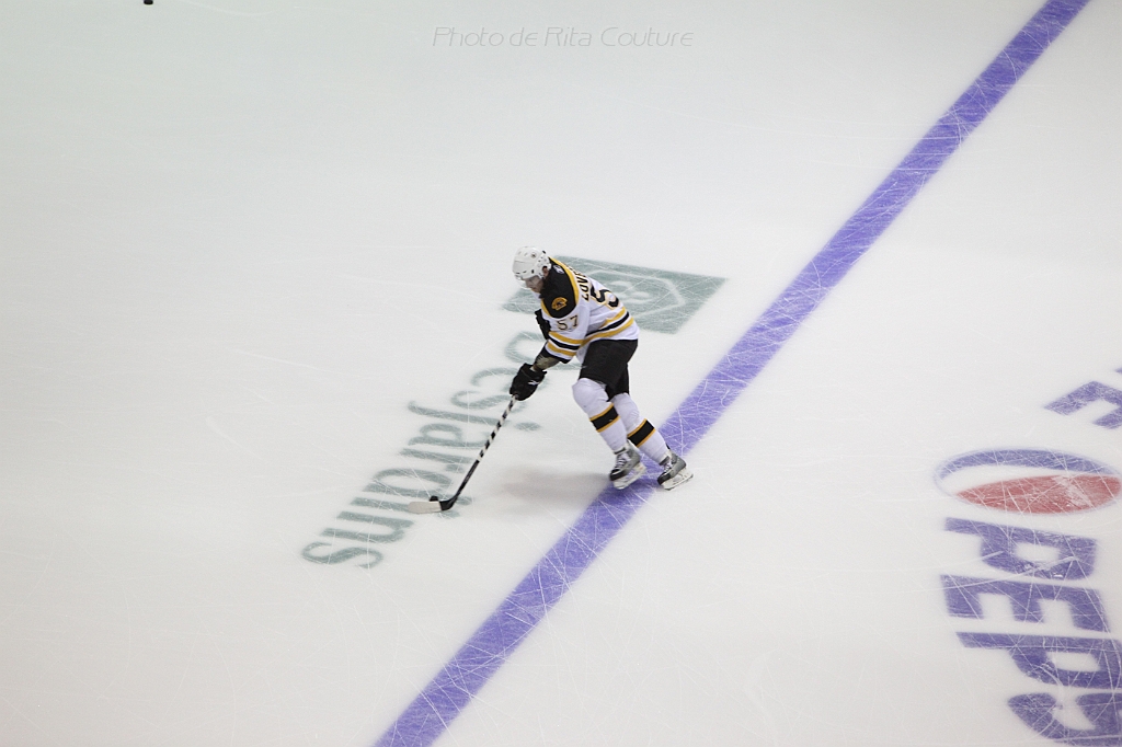 C5D_004231.JPG