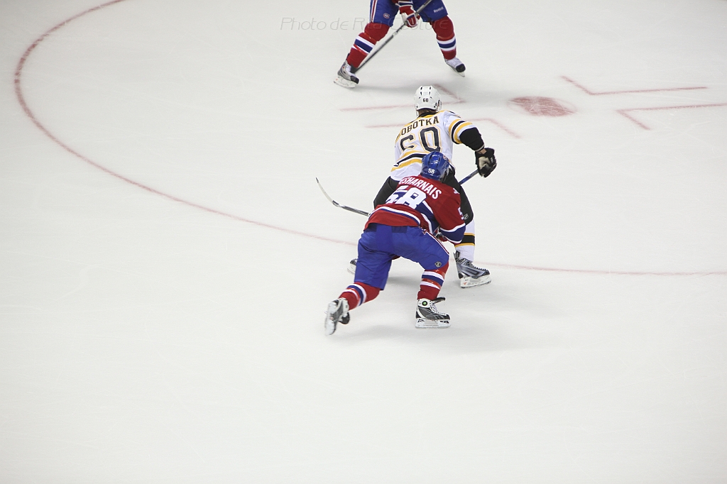 C5D_004695.JPG