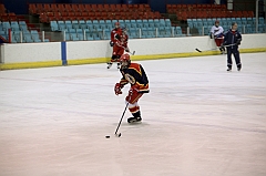 C5D_036281-2