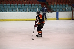 C5D_036313-2