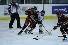 B1_006226