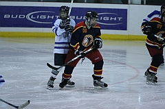 B1_006549