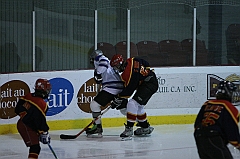 B1_006567