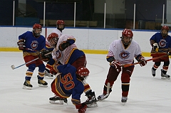 Hockey_001355