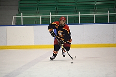 C5D_027310