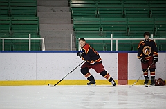 C5D_027520