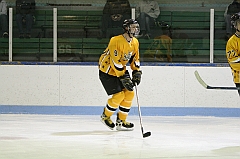 IMG_008378