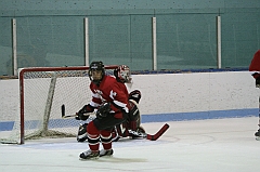 IMG_008534