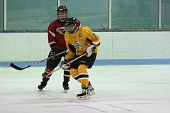 IMG_008538