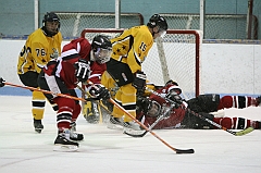 IMG_008561