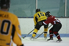IMG_008684