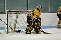 IMG_008685