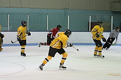 IMG_008695
