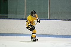 IMG_008746