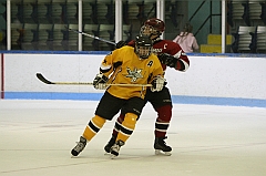 IMG_008751