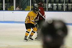 IMG_008752