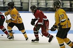 IMG_008771