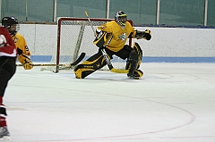 IMG_008817