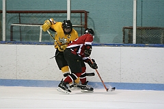 IMG_008865