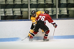 IMG_008868