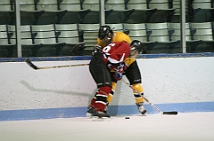 IMG_008869