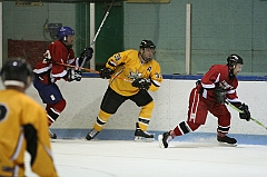 IMG_008892