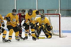IMG_008916