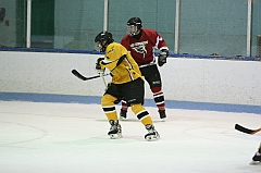 IMG_008919
