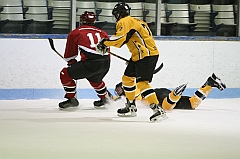 IMG_008921
