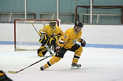 IMG_008991