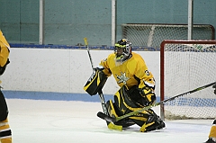 IMG_009007