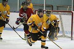 IMG_009088