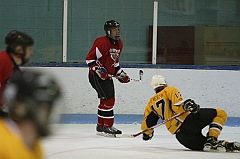 IMG_009102