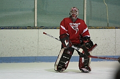 IMG_009136