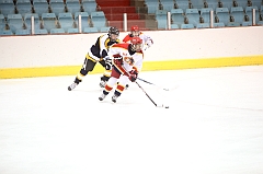 C5D_005273