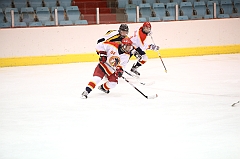 C5D_005274