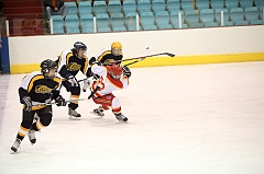 C5D_005294