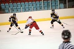 C5D_005334