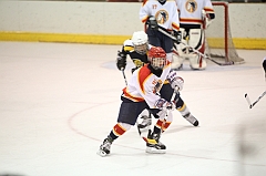 C5D_005447